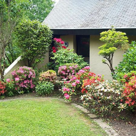 Jardin Des Chats Sevignacq-Meyracq Exterior photo