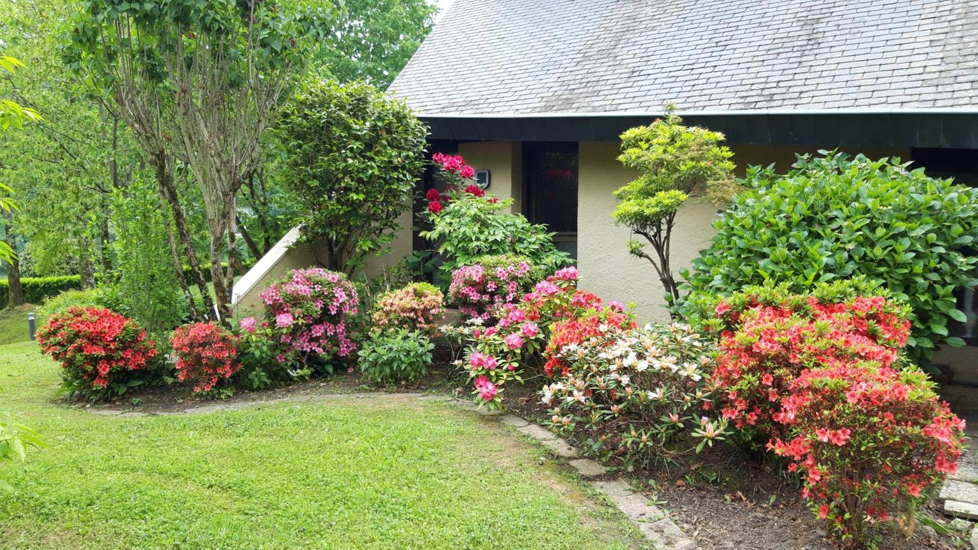 Jardin Des Chats Sevignacq-Meyracq Exterior photo